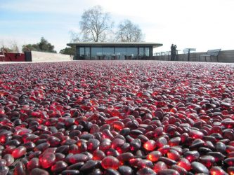 La Terrasse Rouge du Château La Dominique