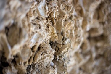 Spot géologique unique : la grotte d&rsquo;huîtres