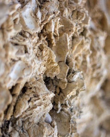 Spot géologique unique : la grotte d&rsquo;huîtres