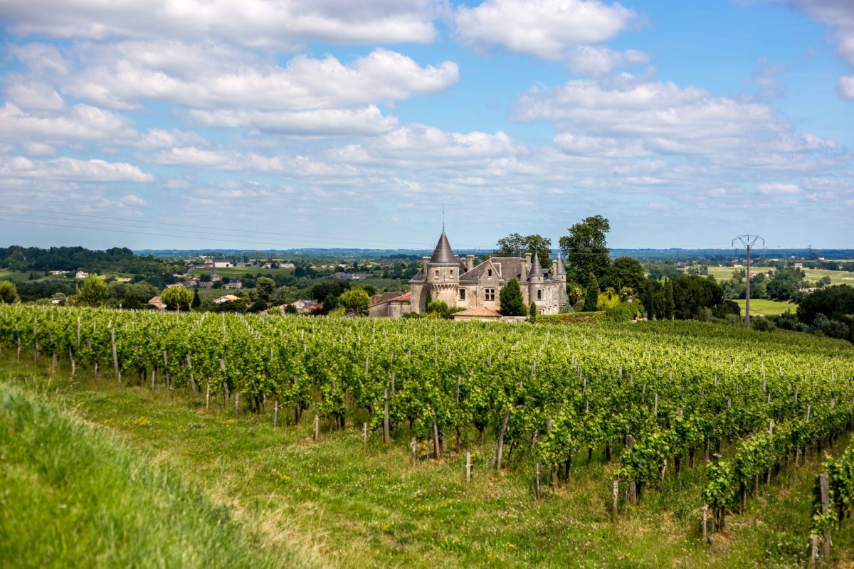 vignoble gironde