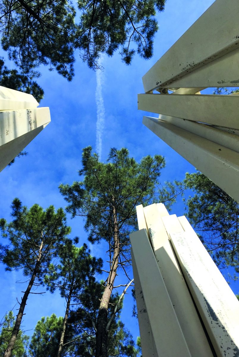 foret d'art contemporain