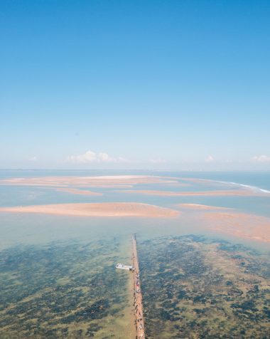 Les Parcs naturels marins de Gironde