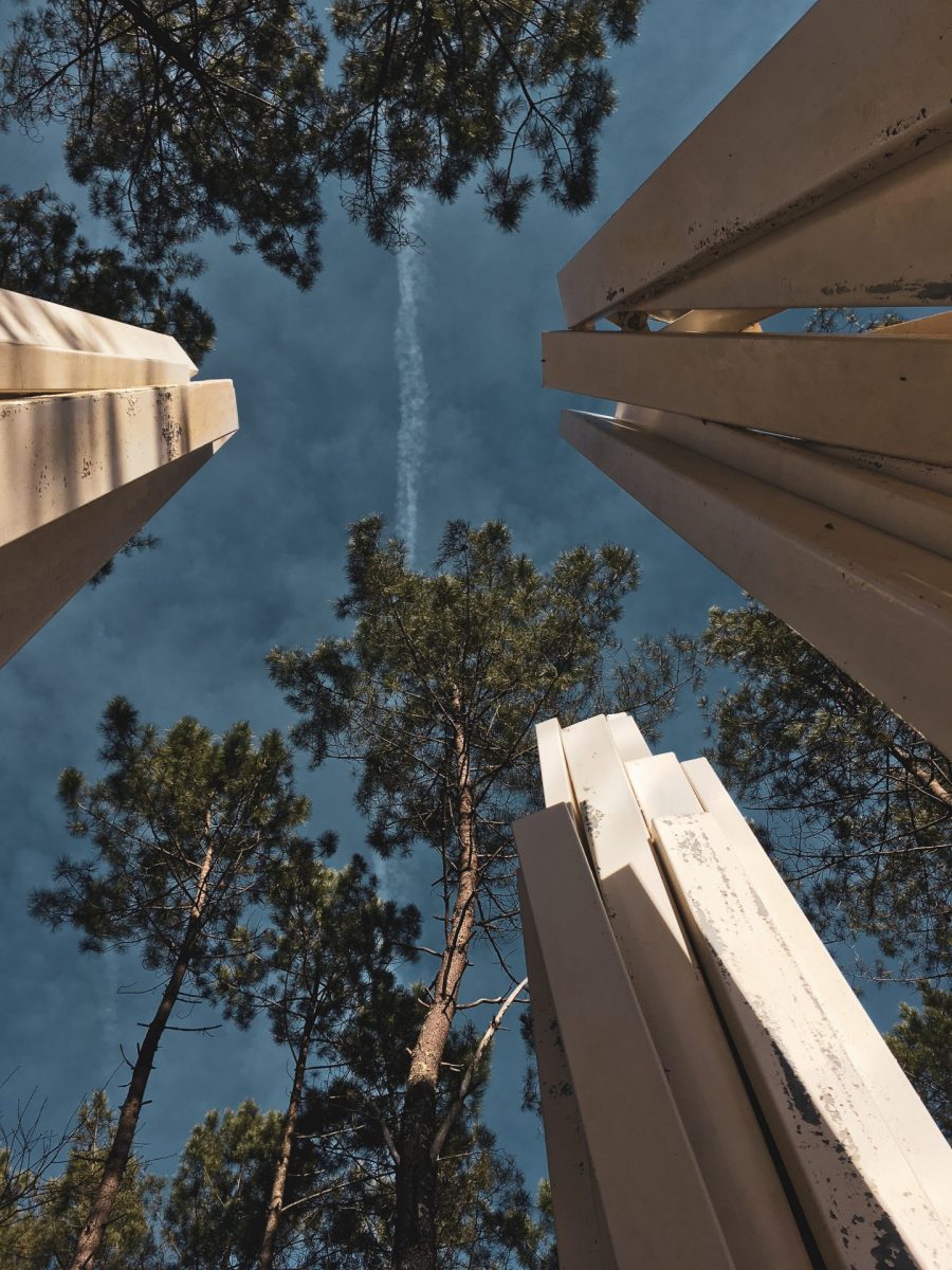 La Forêt d’Art Contemporain en Gironde - Salles