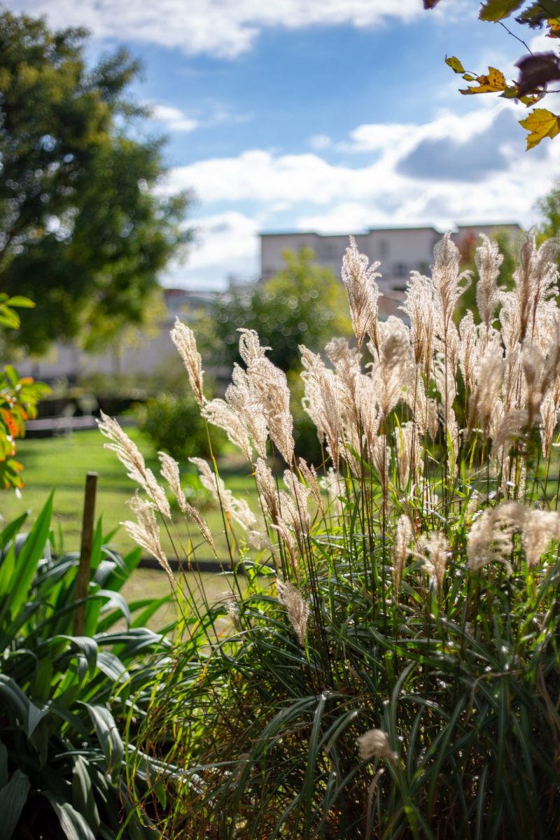 parcs et jardins gironde