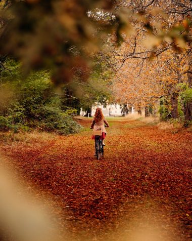 Mon repère : Accueil vélo ®