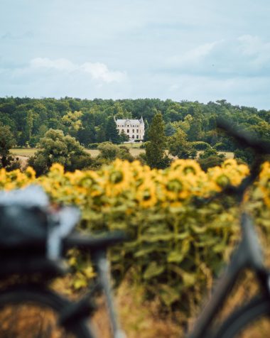 Location de vélo