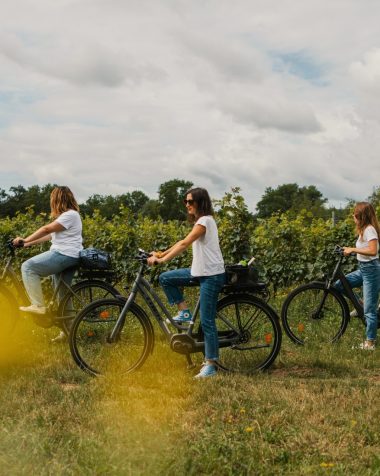 Boucles à vélo dans le vignoble