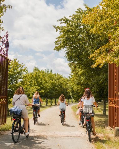 Visites guidées à vélo