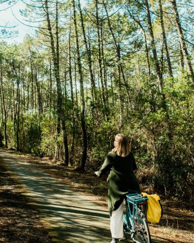 Loueurs et réparateurs de vélo