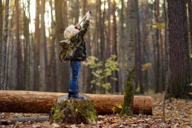 Top 10 – Sorties familles spécial vacances de la Toussaint en Gironde !