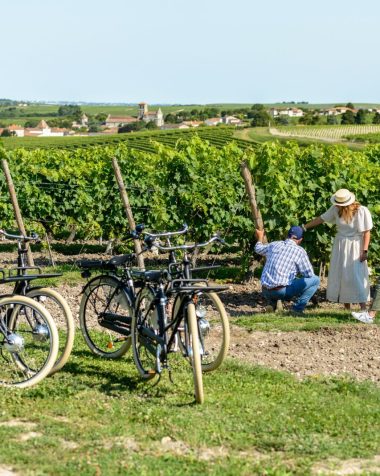 Activités dans le vignoble Bordelais
