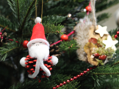 Atelier Décoration de Noël naturelle à Terres d&rsquo;Oiseaux
