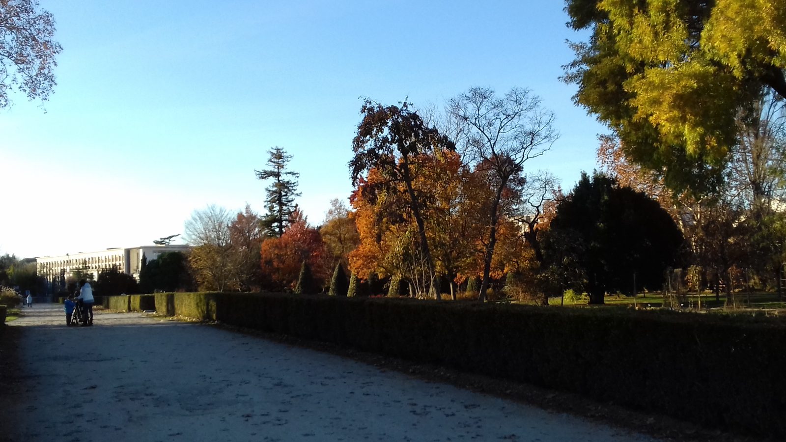 Balade à roulettes : Parc de Peixotto – Impraticable