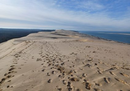 Visite guidée de la Dune du Pilat Du 12 mai au 27 oct 2024