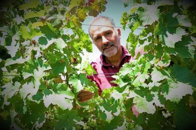 Ici, nos savoir-faire – Visite Château les Maubats
