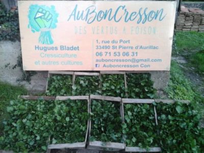 Ici, nos savoir-faire – Visite de l&rsquo;exploitation « Au bon Cresson »