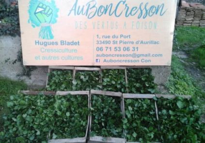 Ici, nos savoir-faire – Visite de l&rsquo;exploitation « Au bon Cresson »