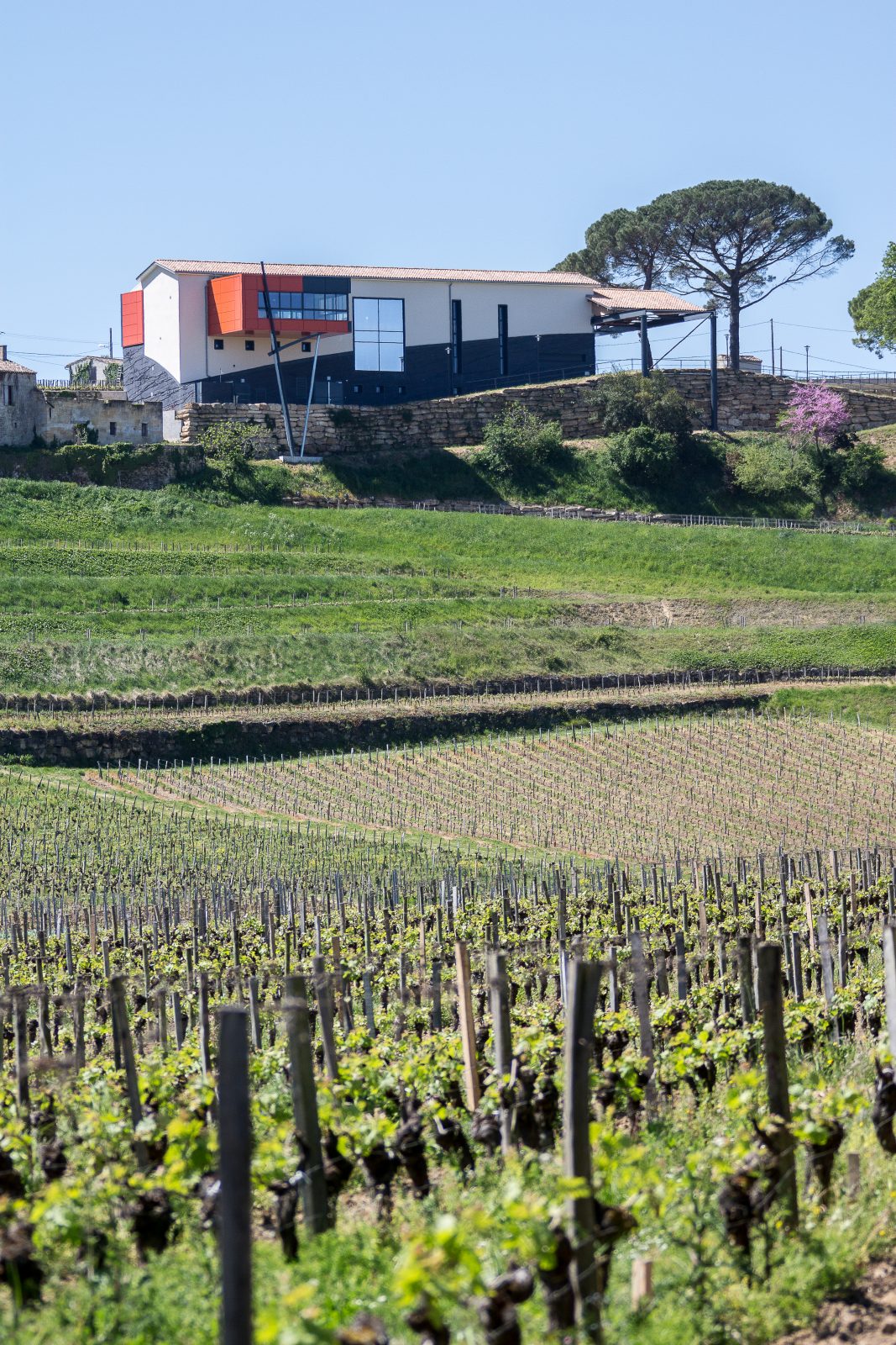 Boucle pédestre : Entre combes et coteaux – paysages UNESCO