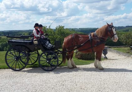 Horse-drawn carriage ride at Château Picon