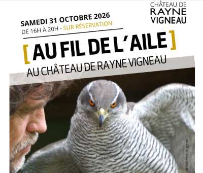 Au fil de l&rsquo;aile