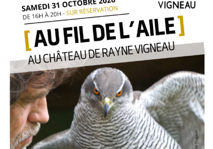 Au fil de l&rsquo;aile