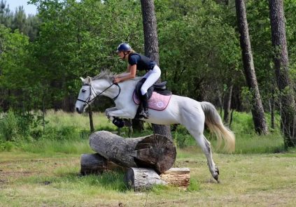 Concours de sauts d&rsquo;obstacles au Centre équestre