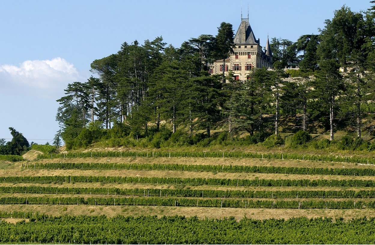 Boucle pédestre : A la croisée des appellations