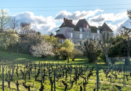 Le Brunch des Vendanges au château de Chelivette