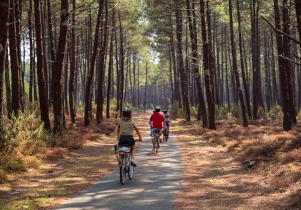 Le Porge Piste Cyclable D 807