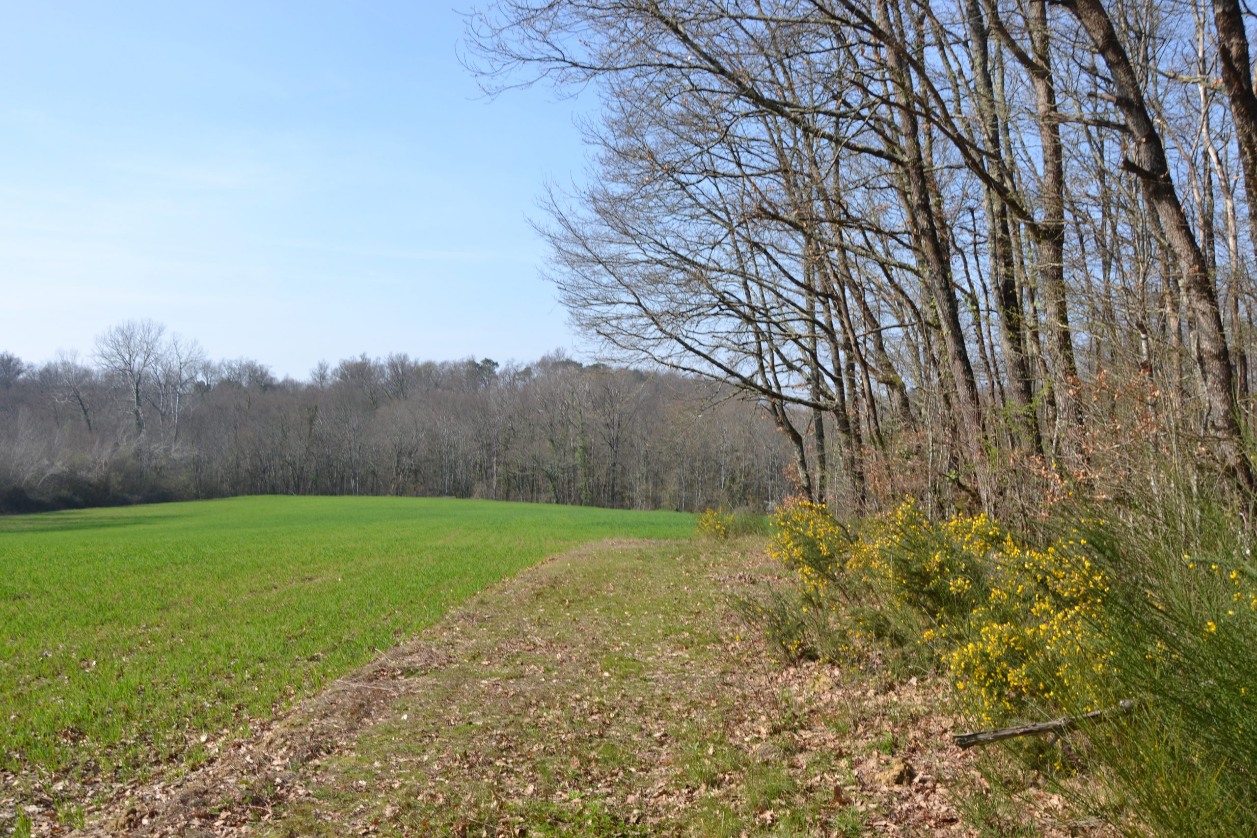 Boucle locale des Châteaux