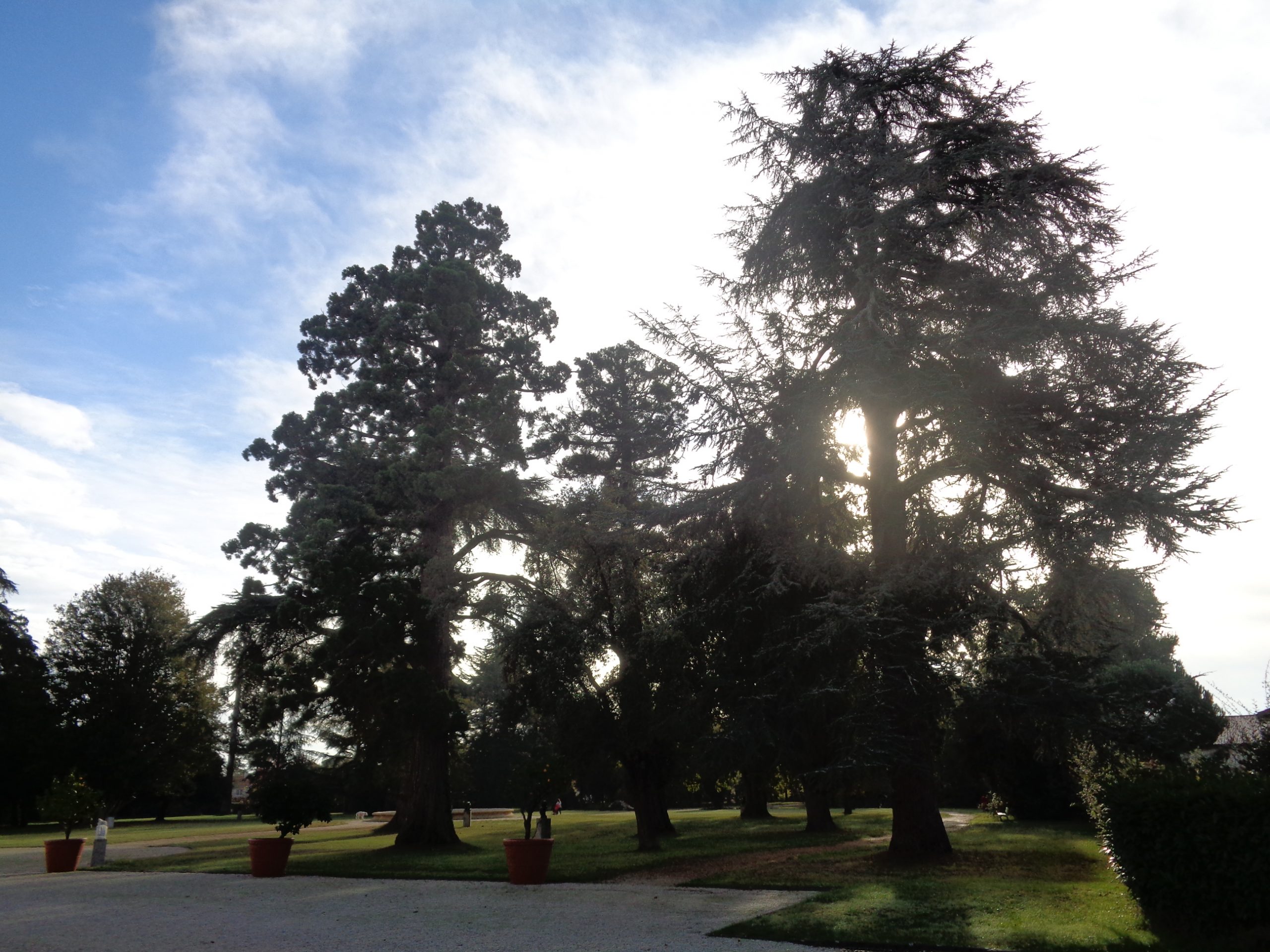 Balade à roulettes : Parc de Laurenzanne – Impraticable