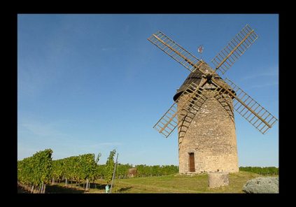 Le Moulin du Grand Puy (production de farine et visite) – Blaye Bourg  Terres d'Estuaire