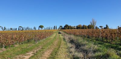 Malagar autrement – Entre les vignes, Mauriac et Toulouse-Lautrec