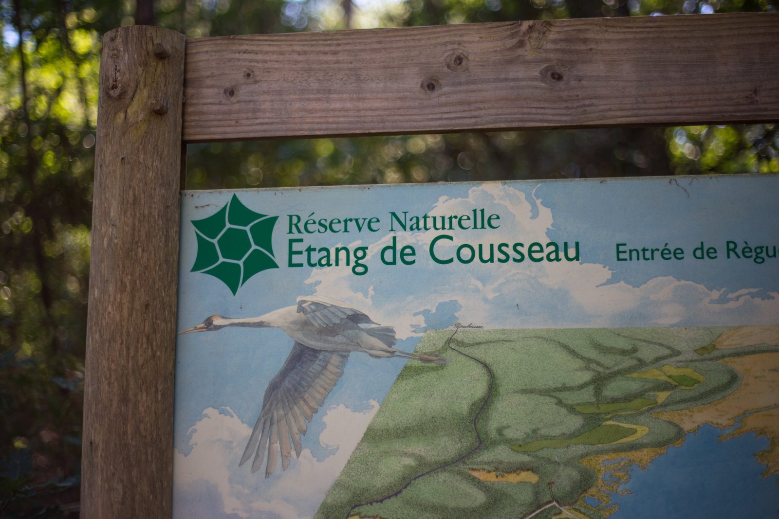 Le sentier de la Réserve Naturelle de l’étang de Cousseau