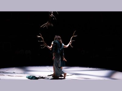 Faune avec la Cie Libertivore dans le cadre de La Nuit du Cirque