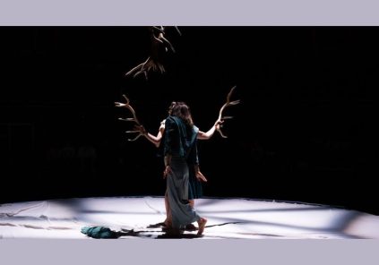 Faune avec la Cie Libertivore dans le cadre de La Nuit du Cirque
