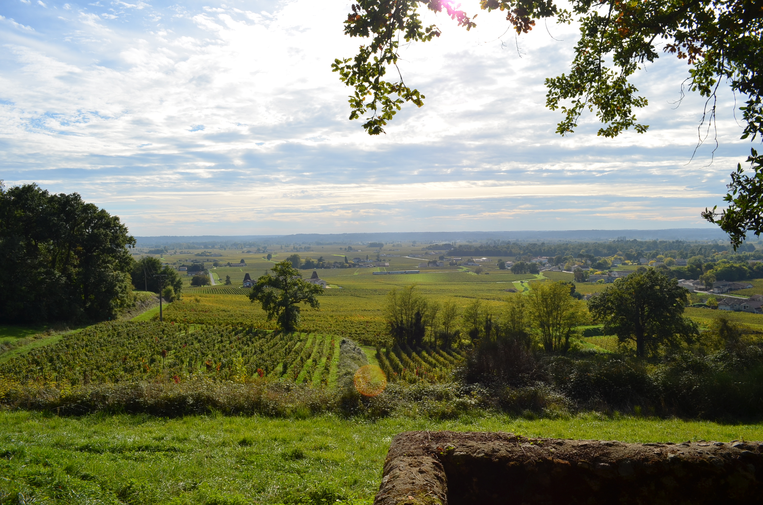 Boucle pédestre : Entre combes et coteaux – paysages UNESCO