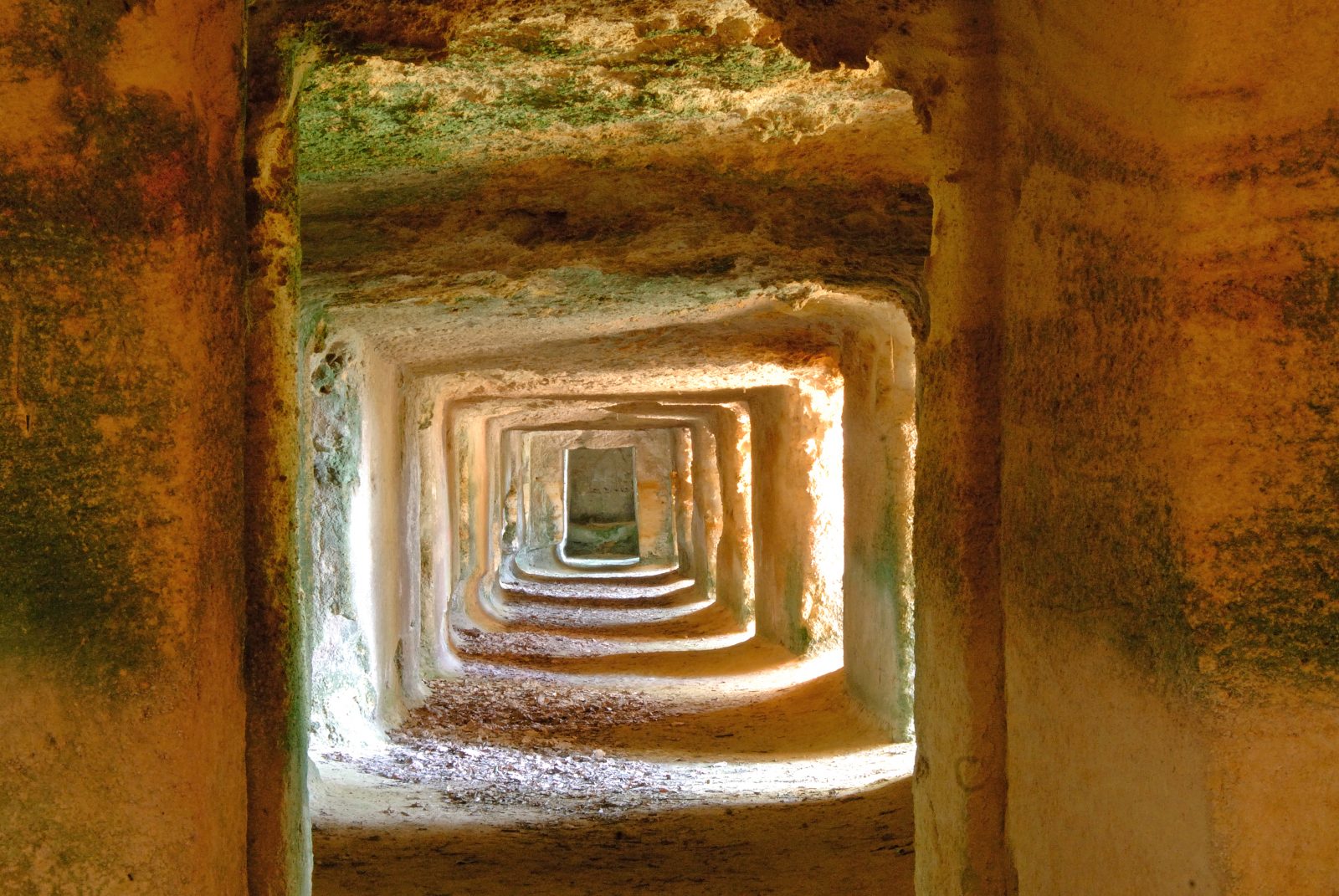 Boucle pédestre : Entre combes et coteaux – paysages UNESCO