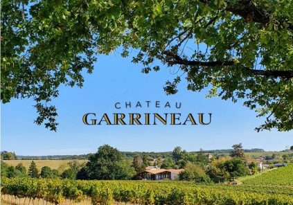Besuch der Weinberge und Landschaften (auf eigene Faust) in den Combefreyroux Vineyards