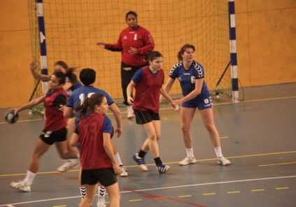 Handballfinale der Abteilung