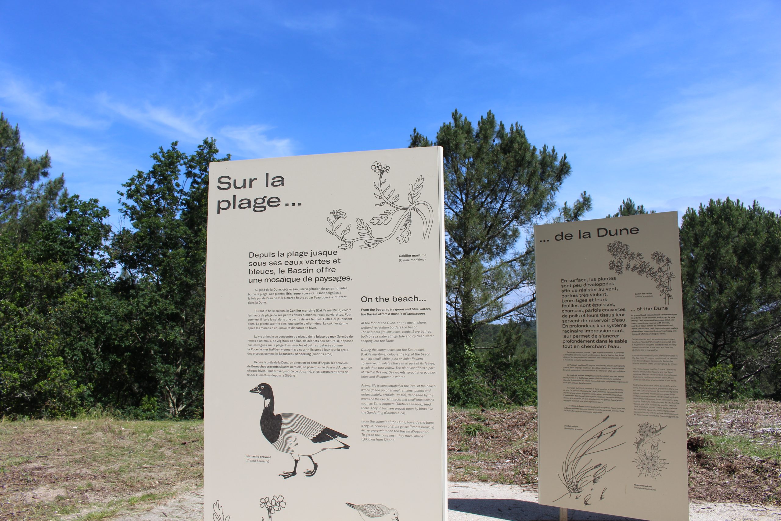 Les Pistes de Robin : les secrets de la Dune du Pilat