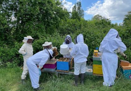 J’apprends l’apiculture avec l’Abeille Cubzaguaise