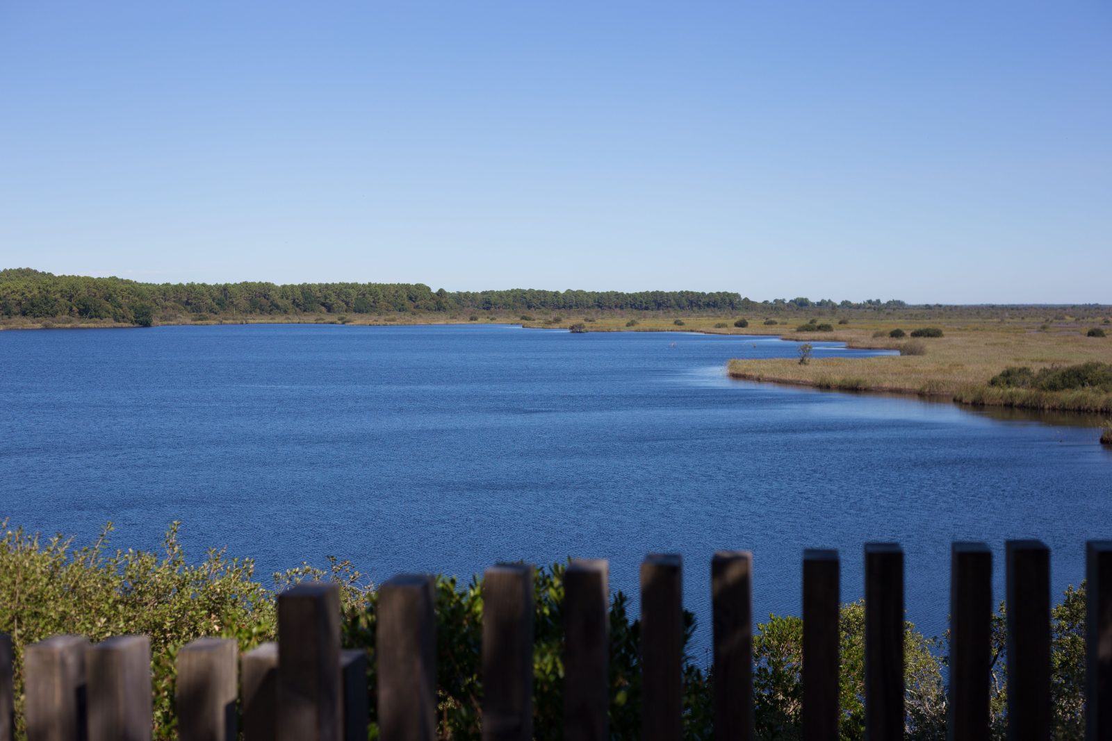 Le sentier de la Réserve Naturelle de l’étang de Cousseau