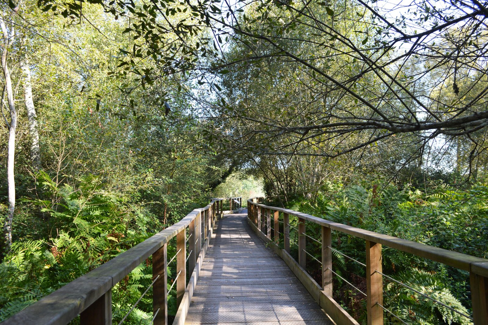 Sentier de la lagune de Contaut