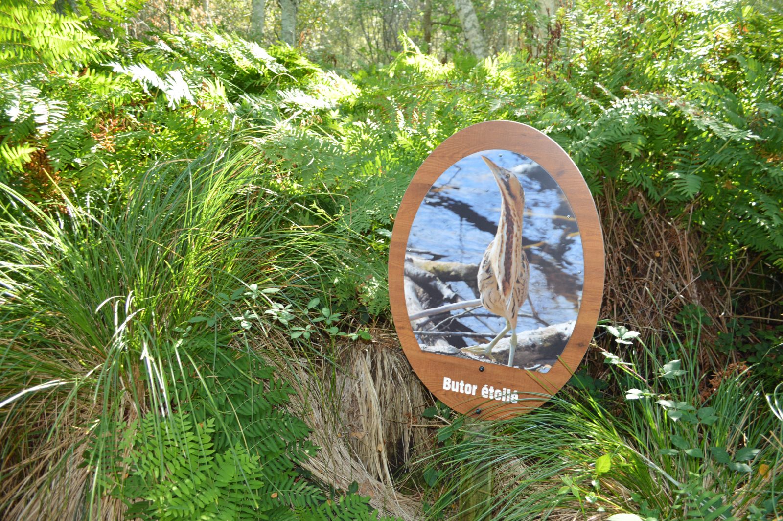 Sentier de la lagune de Contaut