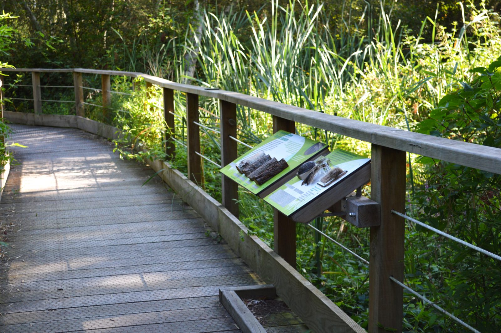 Sentier de la lagune de Contaut