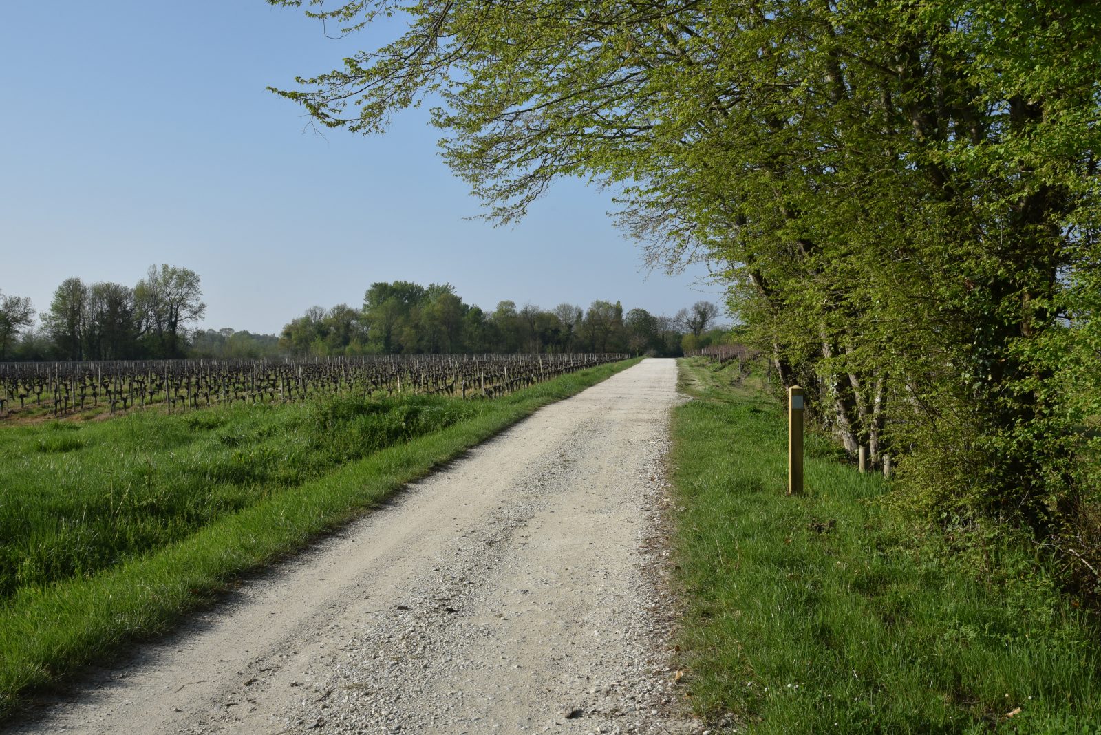 Boucle des Palus
