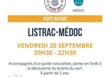 Nature visit to discover the Brame du Cerf