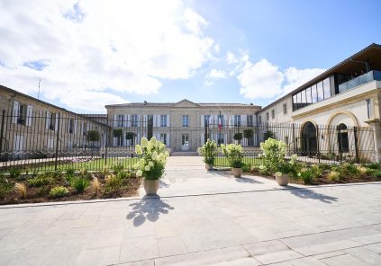 Vignobles en Scène : Immersion sensorielle au Château Grand-Puy Ducasse