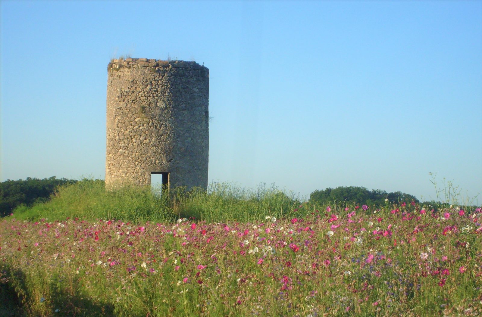 Boucle de l&rsquo;arboretum et des moulins